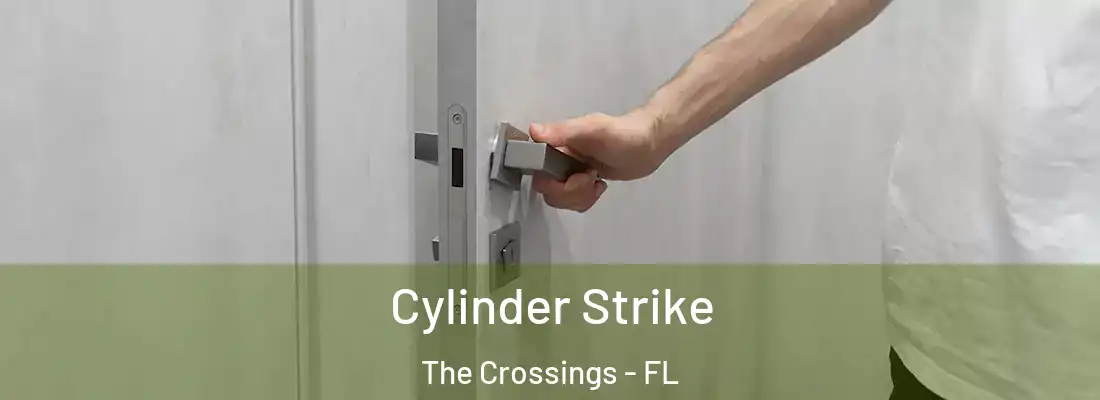  Cylinder Strike The Crossings - FL