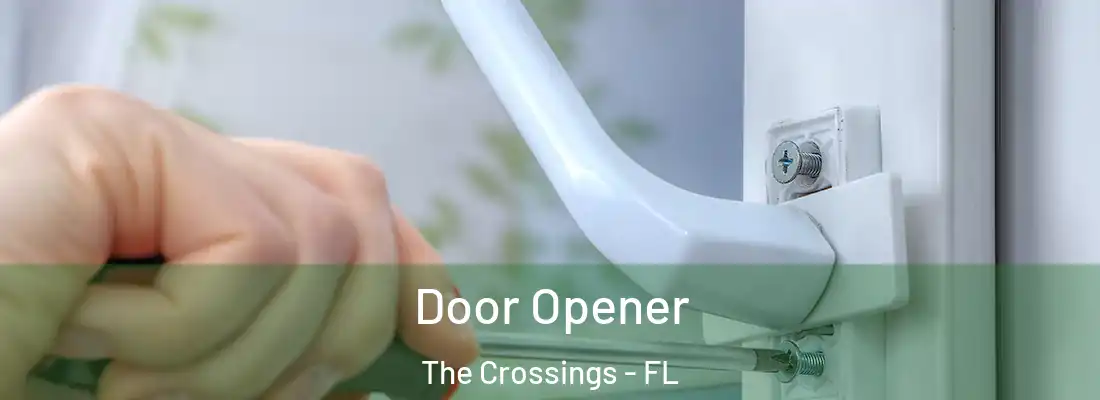  Door Opener The Crossings - FL