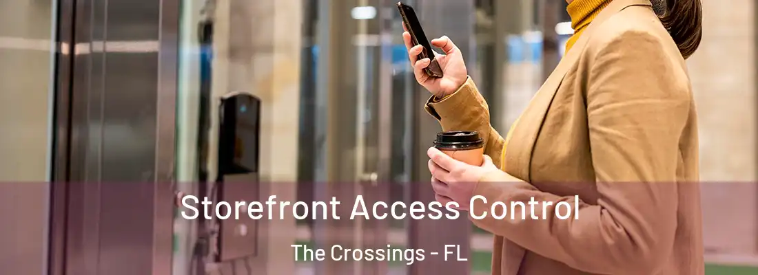 Storefront Access Control The Crossings - FL